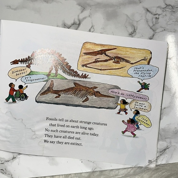 Fossils tell of long ago kids book - Picture 7 of 7